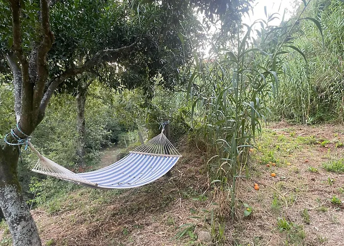 Nascente, Place In Nature Next To A Waterfall