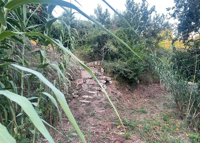 Nascente, Place In Nature Next To A Waterfall
