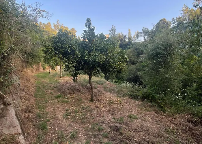 Nascente, Place In Nature Next To A Waterfall