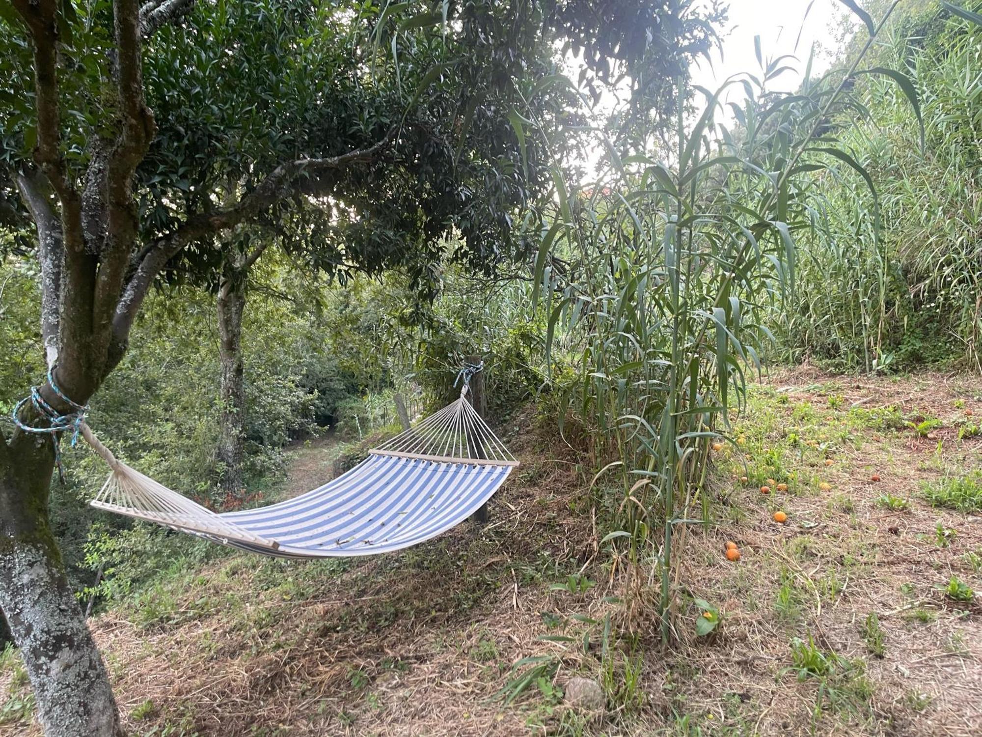 Nascente, Place In Nature Next To A Waterfall