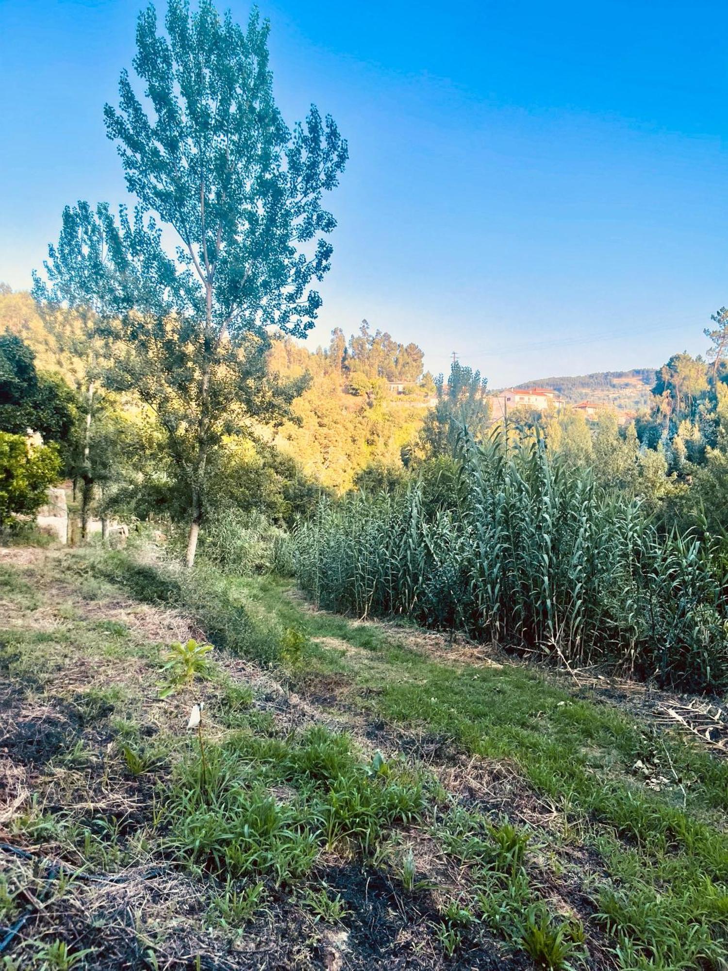 Holiday home Nascente, Place In Nature Next To A Waterfall