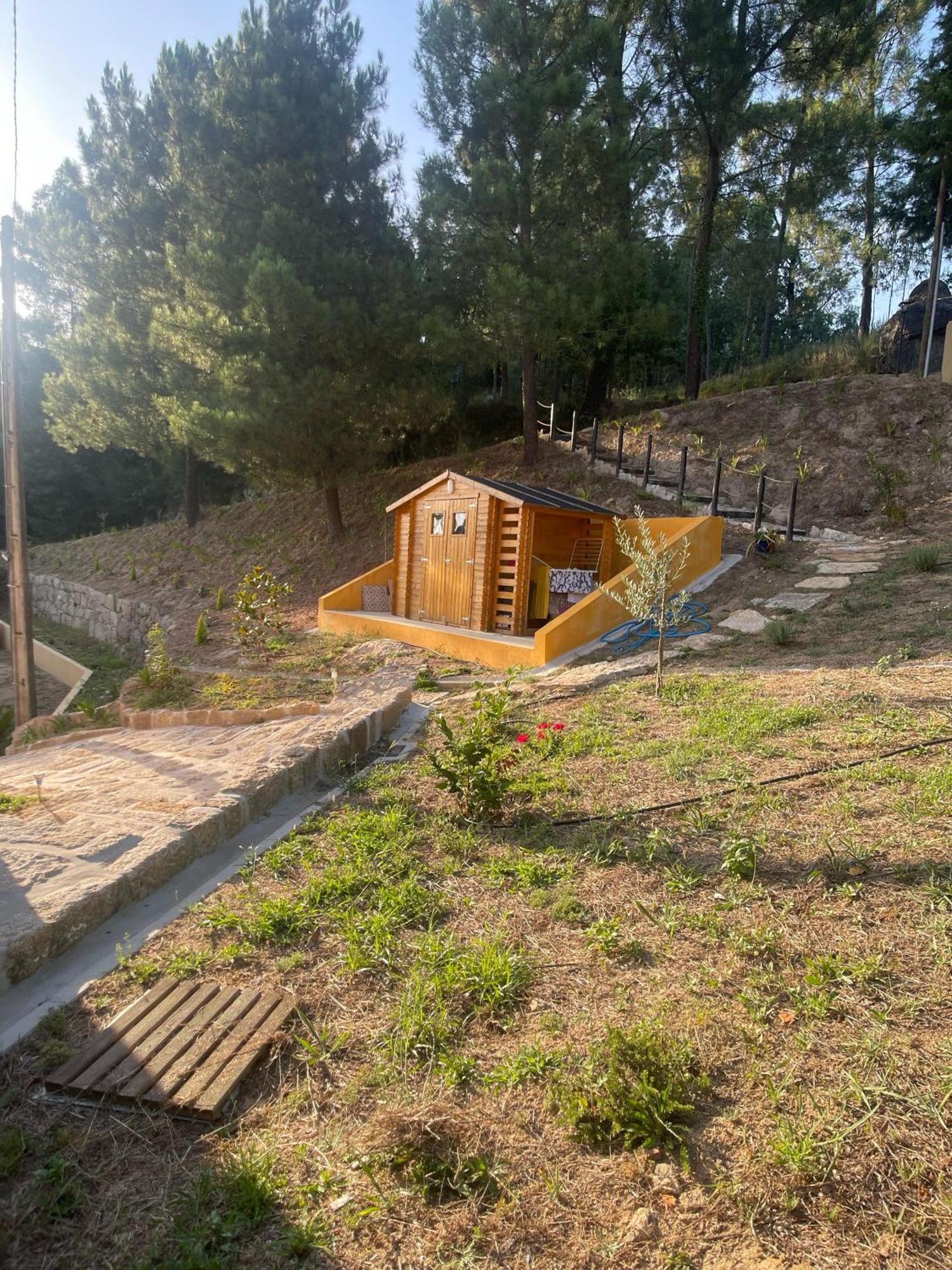 Nascente, Place In Nature Next To A Waterfall * Loureiro (Porto)
