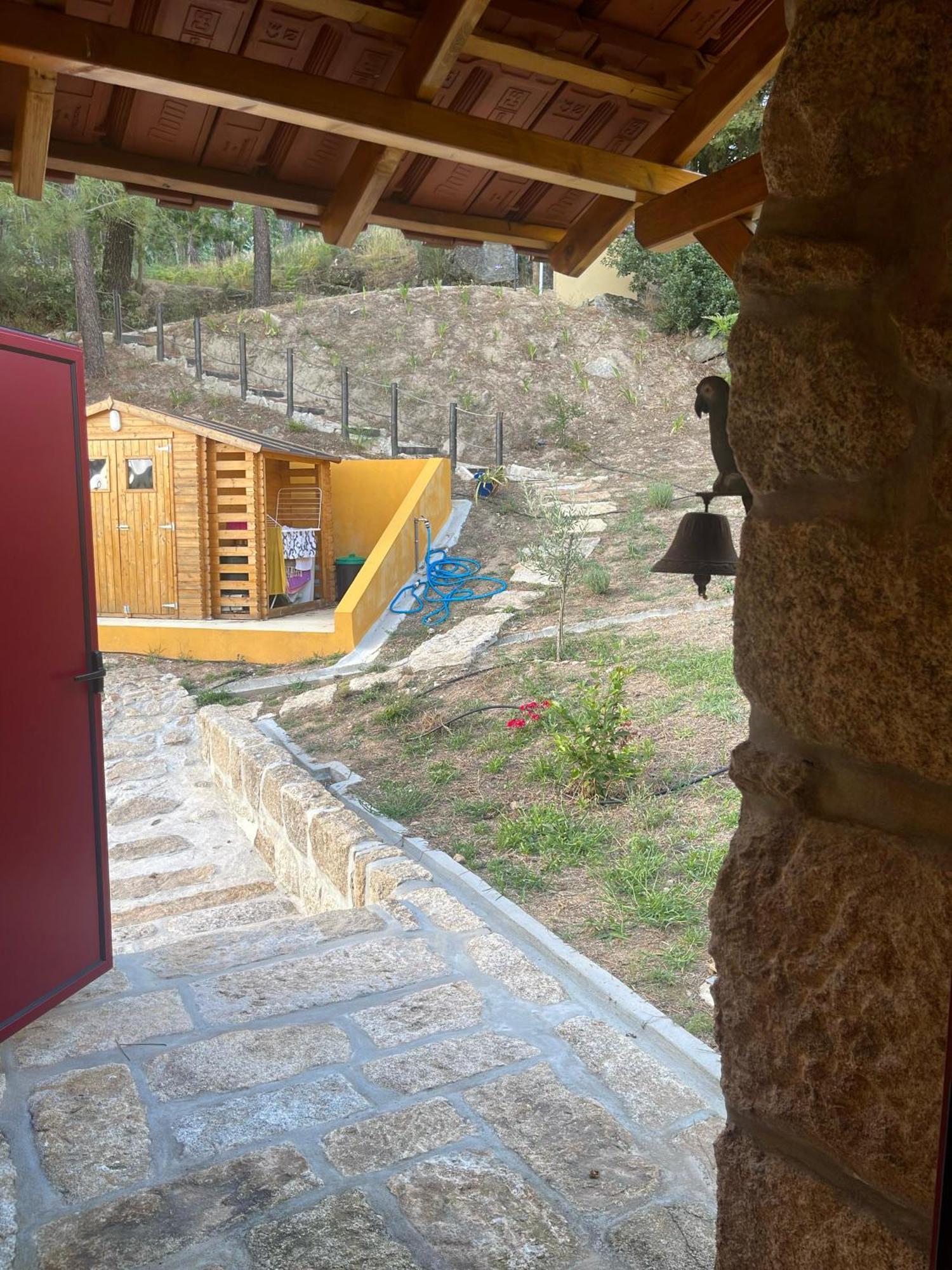 Nascente, Place In Nature Next To A Waterfall *