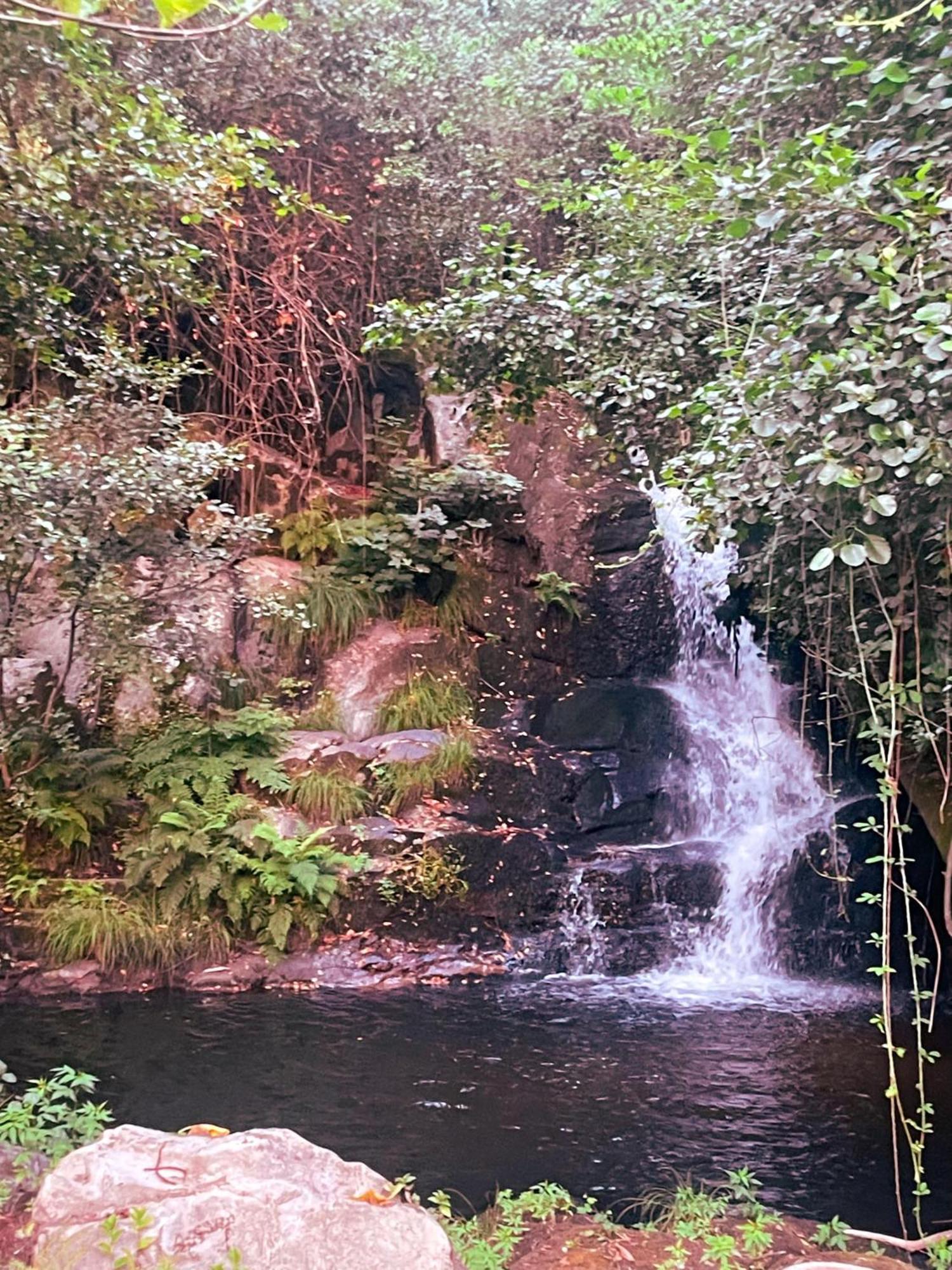 Nascente, Place In Nature Next To A Waterfall *